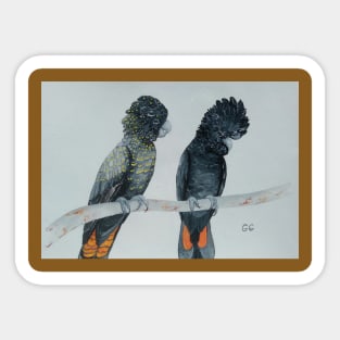 Australian Black Cockatoos original painting Sticker